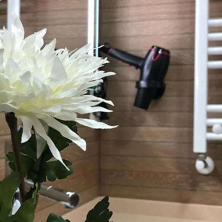 Pizarro City Loft By Vigovacaciones *